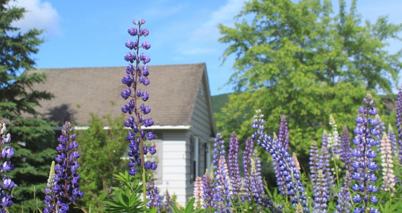Chanterelle Inn & Cottages Baddeck Inlet 外观 照片